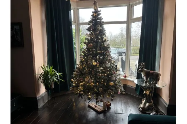 Stoke Green, Coventry, CV3, photo 19
