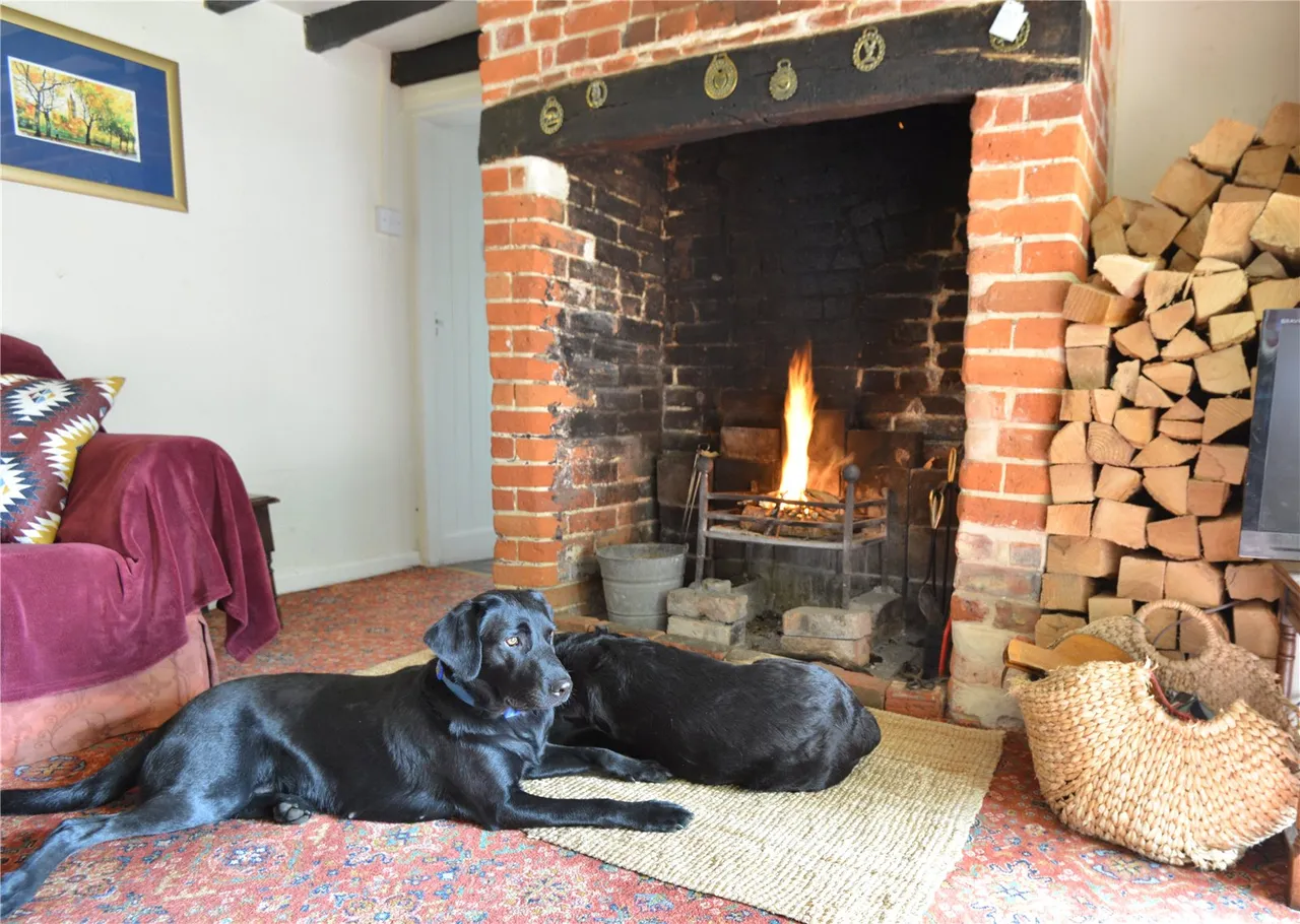 Newgrounds, Godshill, Fordingbridge, Hampshire, SP6 2LJ, photo 7