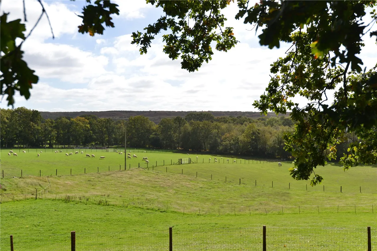 Newgrounds, Godshill, Fordingbridge, Hampshire, SP6 2LJ, photo 16