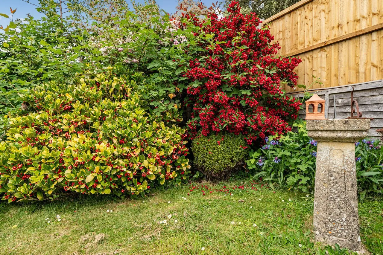 Hooper Avenue, Wells, BA5, photo 16