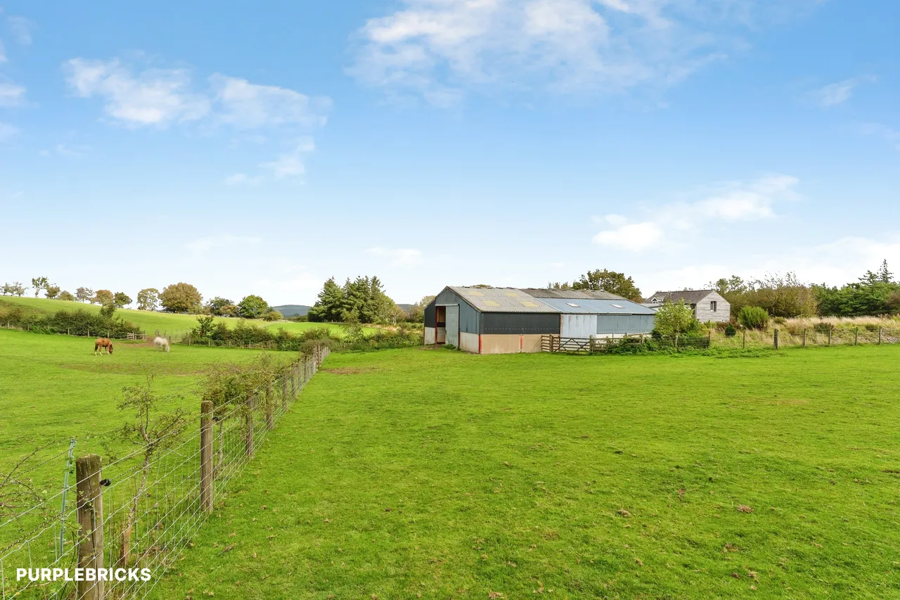 Pant Glas Road, Llansannan, LL16, photo 23