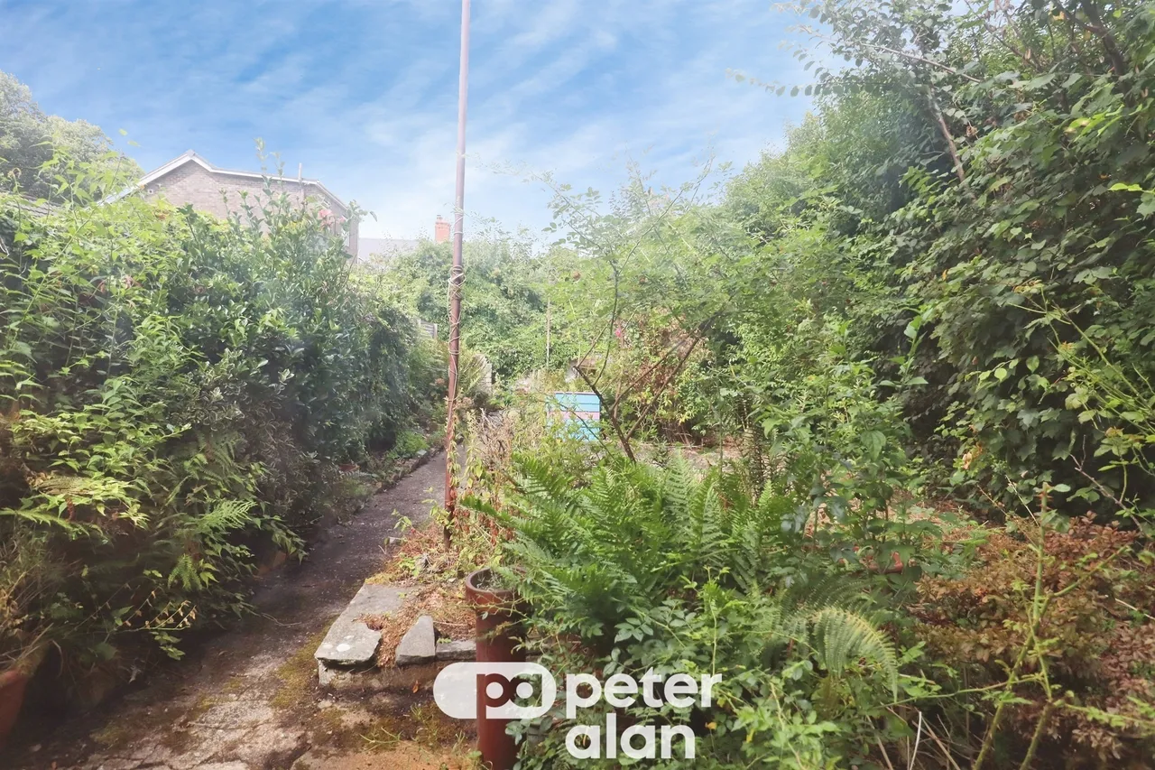 Tabor Street, Cardiff, CF15, photo 9