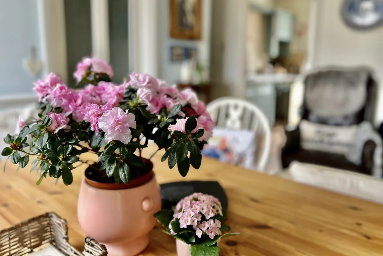 Christchurch Road, Ringwood, BH24, photo 9