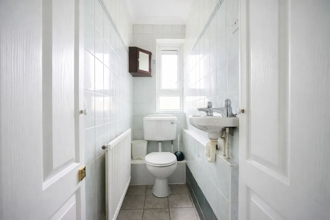 Clive Road, London, SE21, photo 12