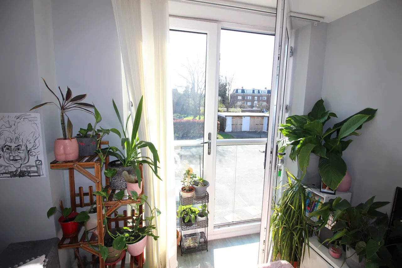 Park Terrace, WORCESTER PARK, Surrey, Worcester Park, KT47JZ, photo 5