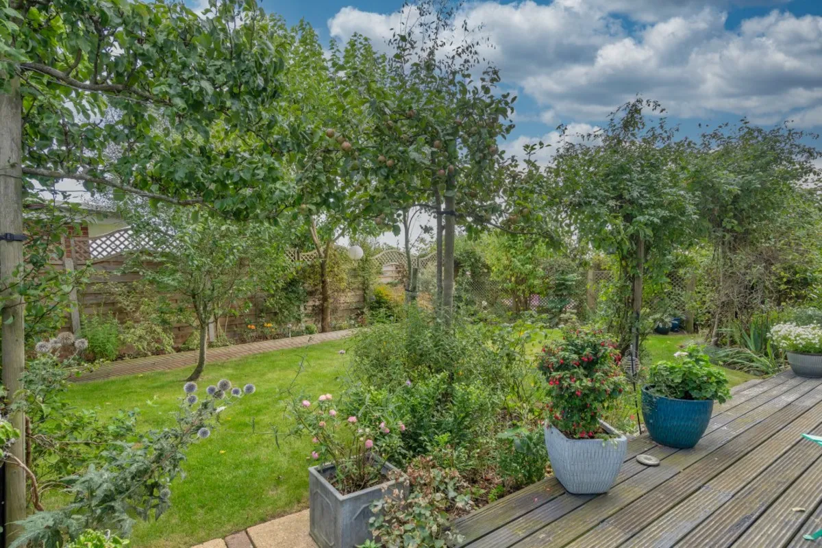 Hill Road, Reydon, photo 28