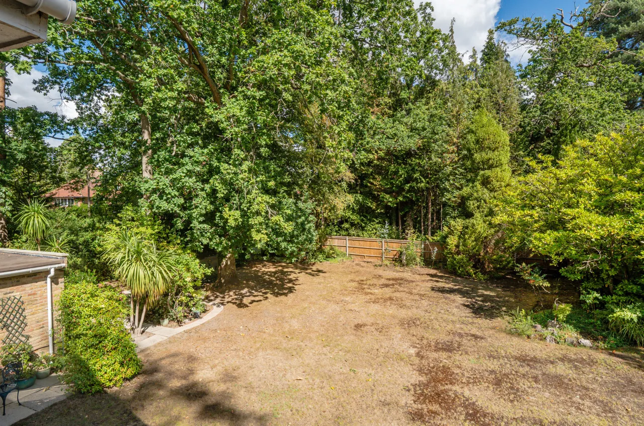 Hook Heath Road, Woking, GU22, photo 46