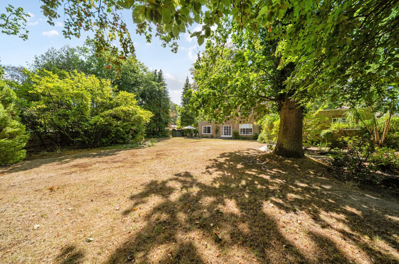 Hook Heath Road, Woking, GU22, photo 24