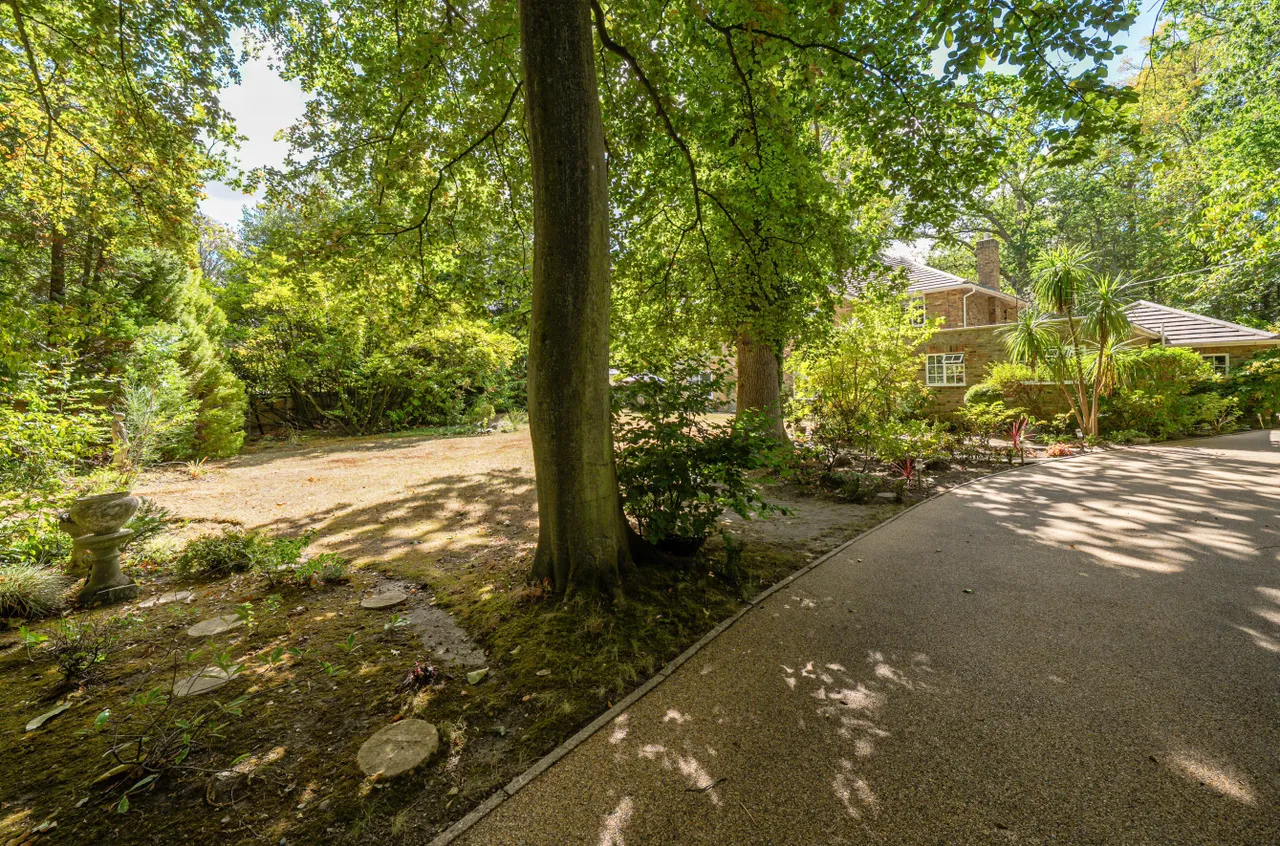 Hook Heath Road, Woking, GU22, photo 52