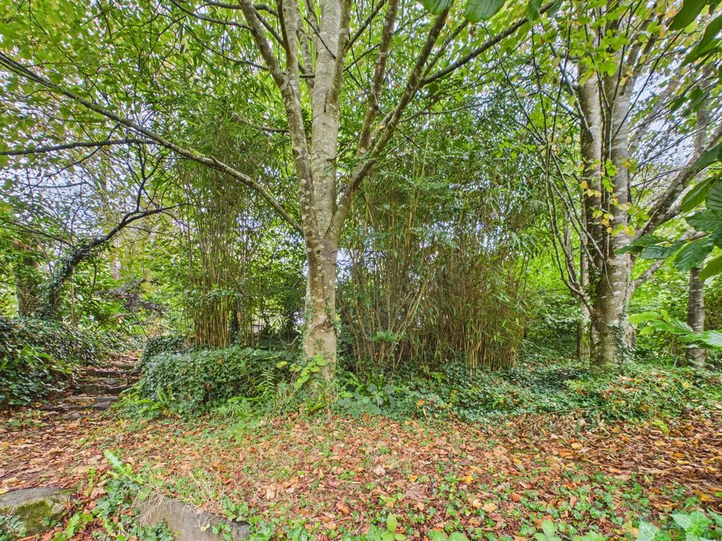Bownder An Sycamor St. Day, Redruth, TR16, photo 8