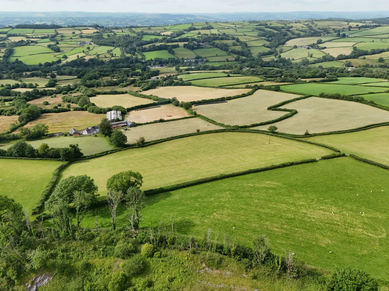 Trap, Llandeilo, SA19, photo 12