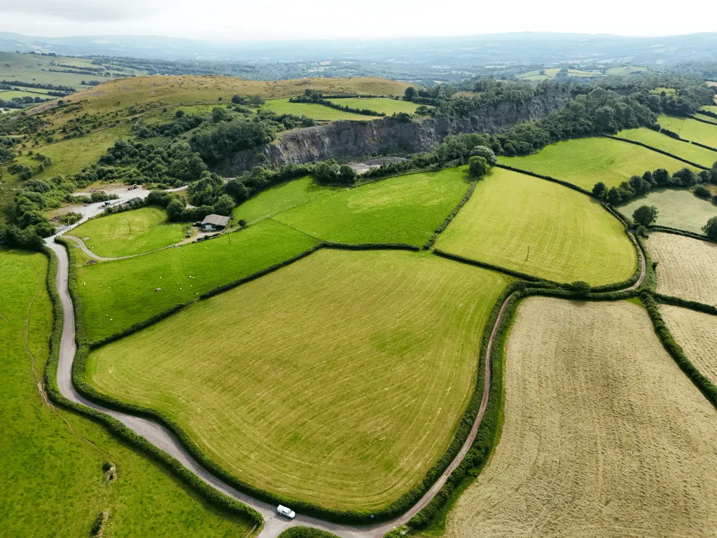 Trap, Llandeilo, SA19, photo 13