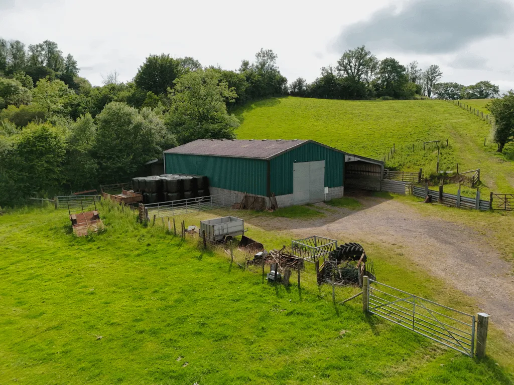 Trap, Llandeilo, SA19, photo 3