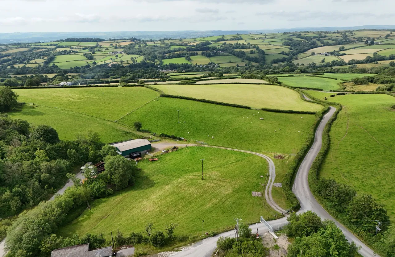 Trap, Llandeilo, SA19, photo 11