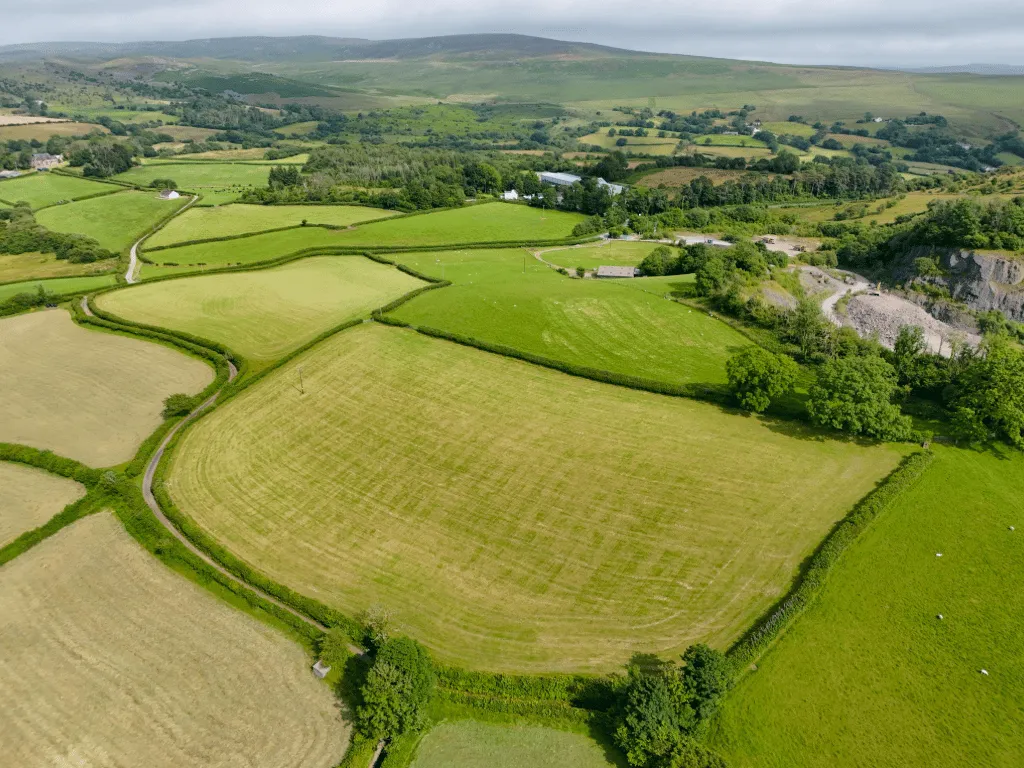 Trap, Llandeilo, SA19, photo 9