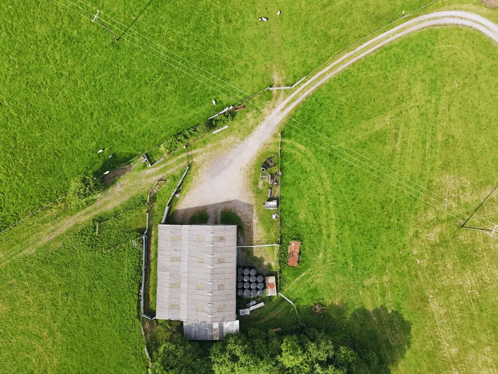 Trap, Llandeilo, SA19, photo 6