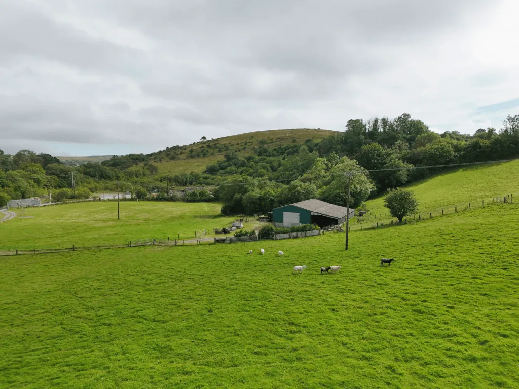 Trap, Llandeilo, SA19, photo 7