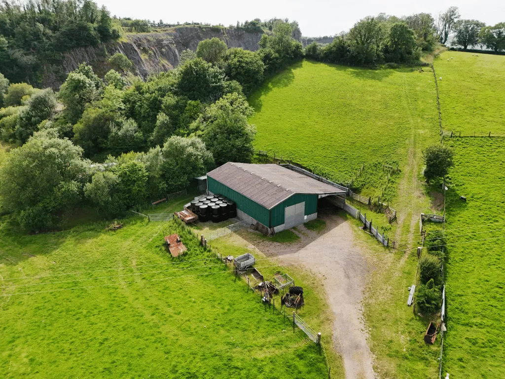 Trap, Llandeilo, SA19, photo 8
