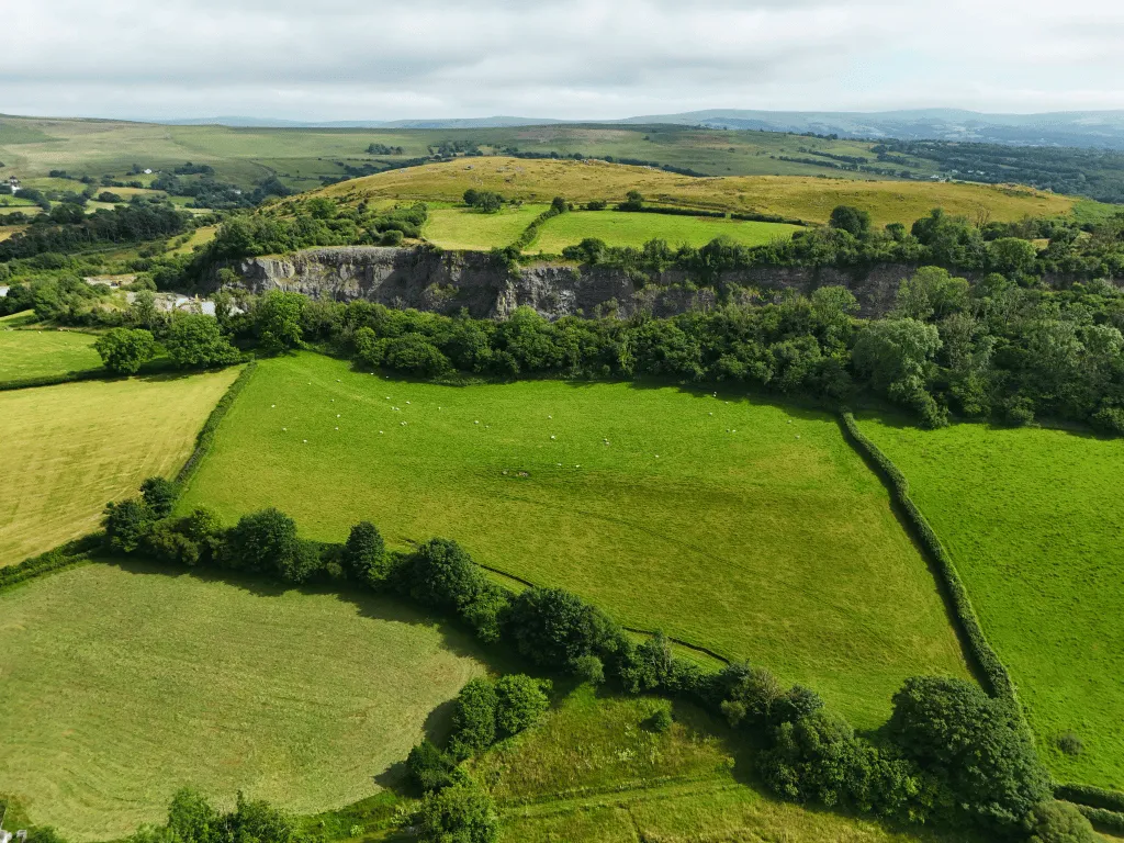 Trap, Llandeilo, SA19, photo 10