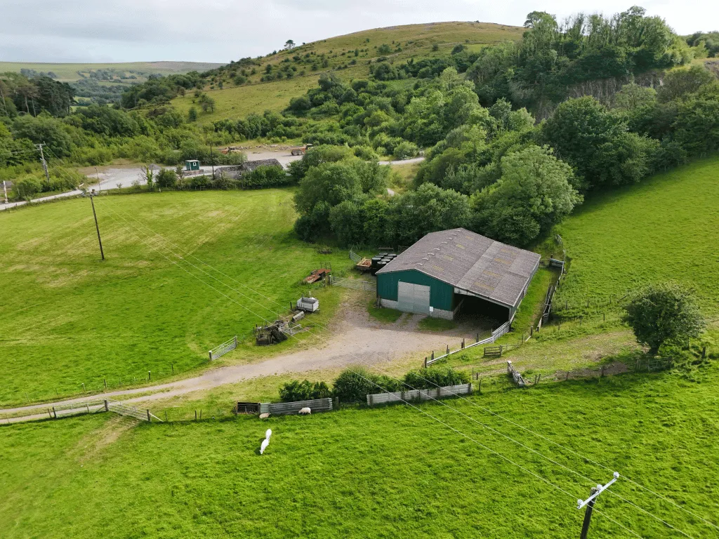 Trap, Llandeilo, SA19, photo 5