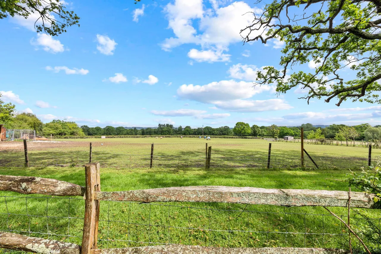 Bunce Common Road, Leigh, RH2, photo 28