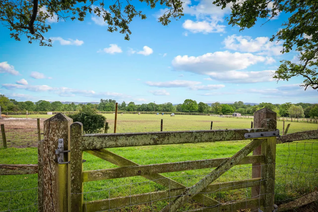 Bunce Common Road, Leigh, RH2, photo 27