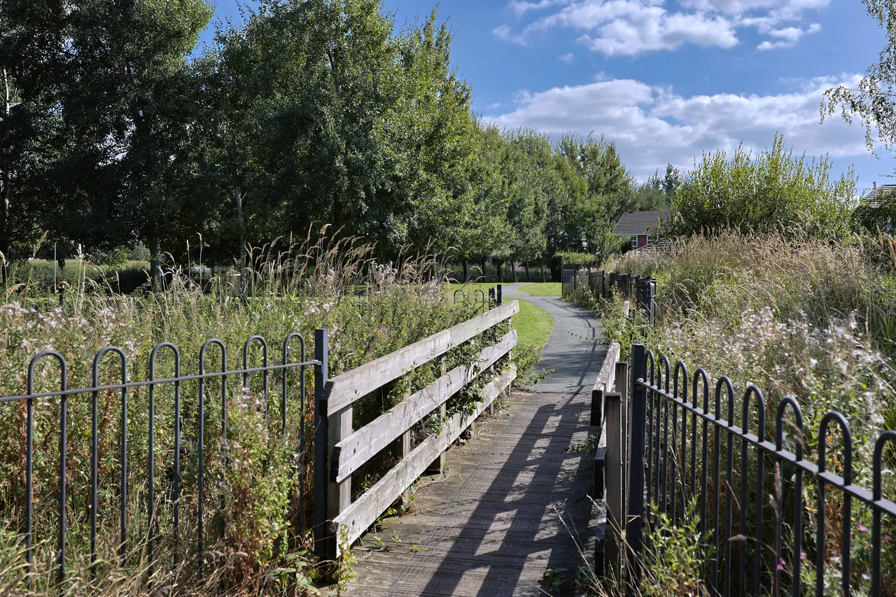 Poplar Drive, Coppull, photo 22