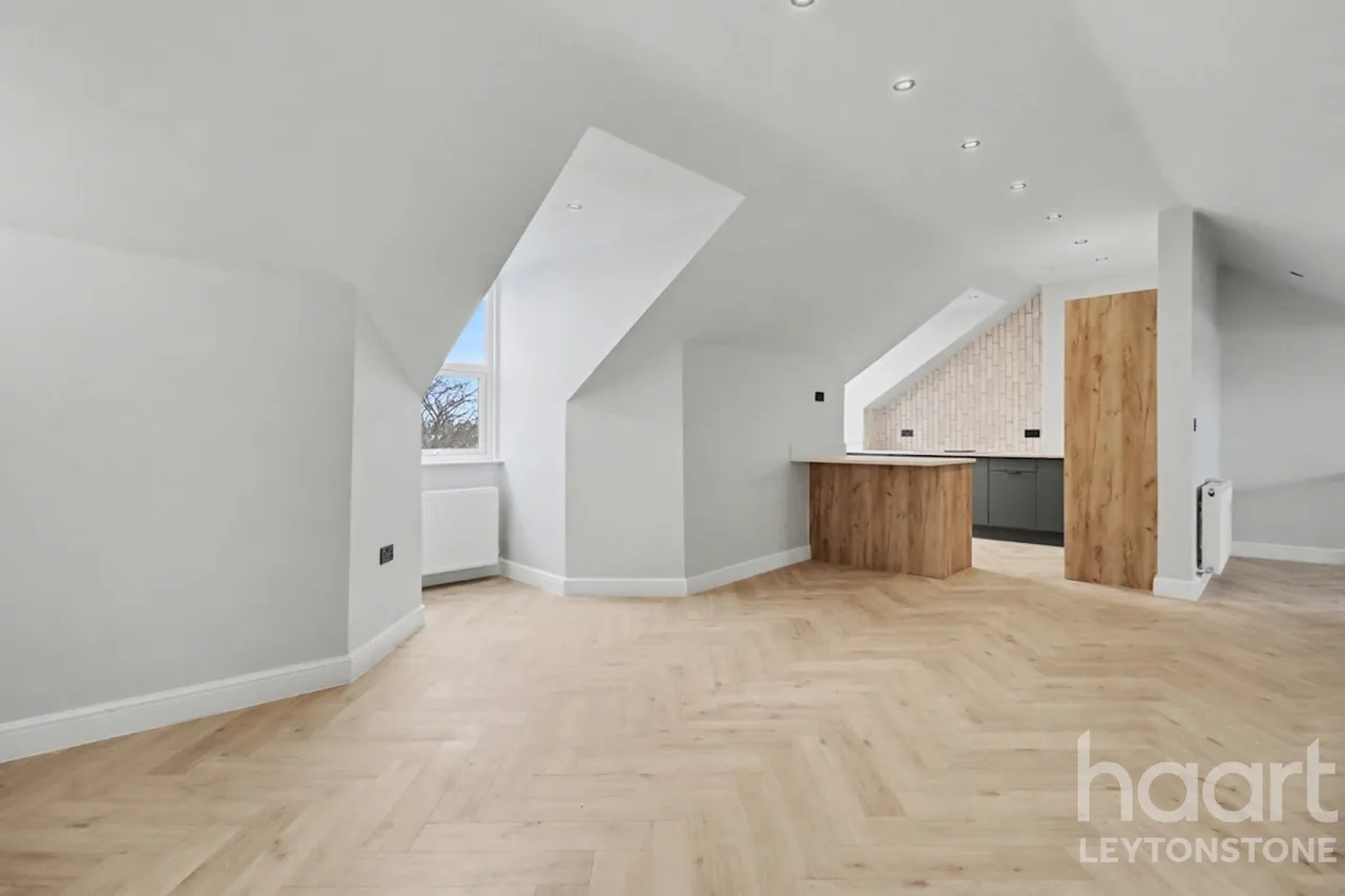 Bulwer Road, London, E11, photo 17