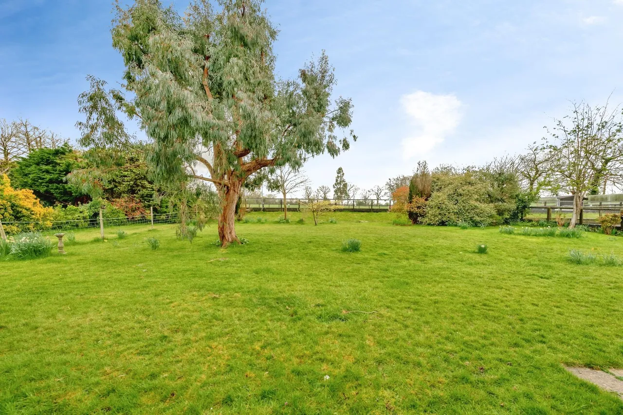 Axes Lane, Redhill, RH1, photo 19