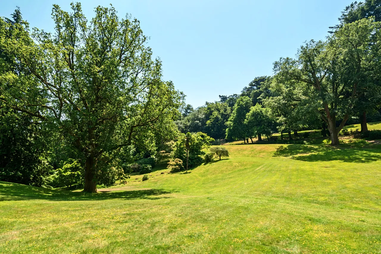 Lythe Hill Park, Haslemere, GU27, photo 4