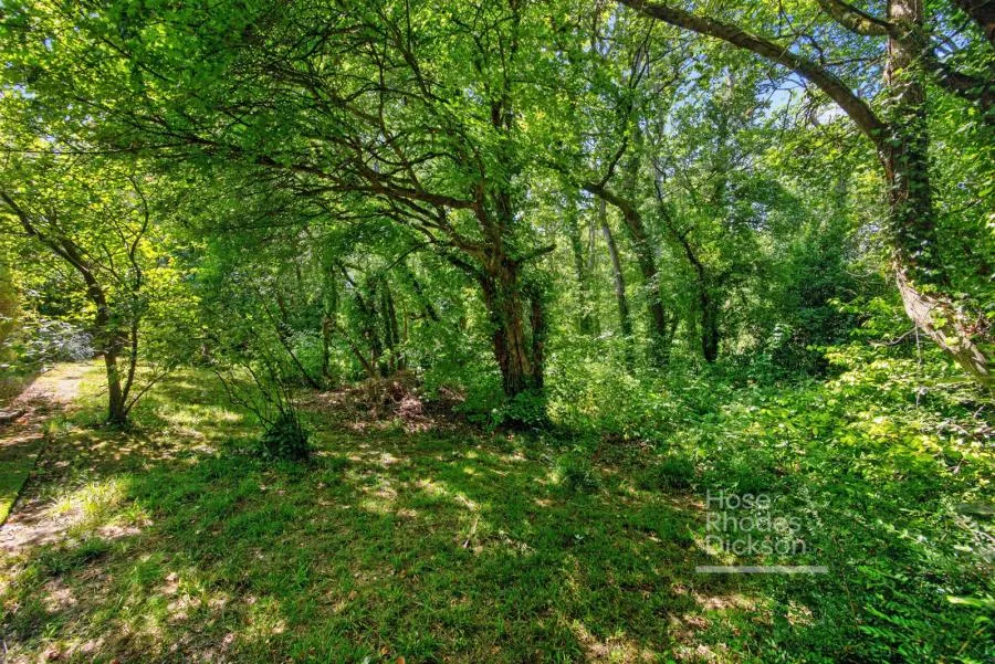 Nettlestone, Seaview, PO34, photo 15