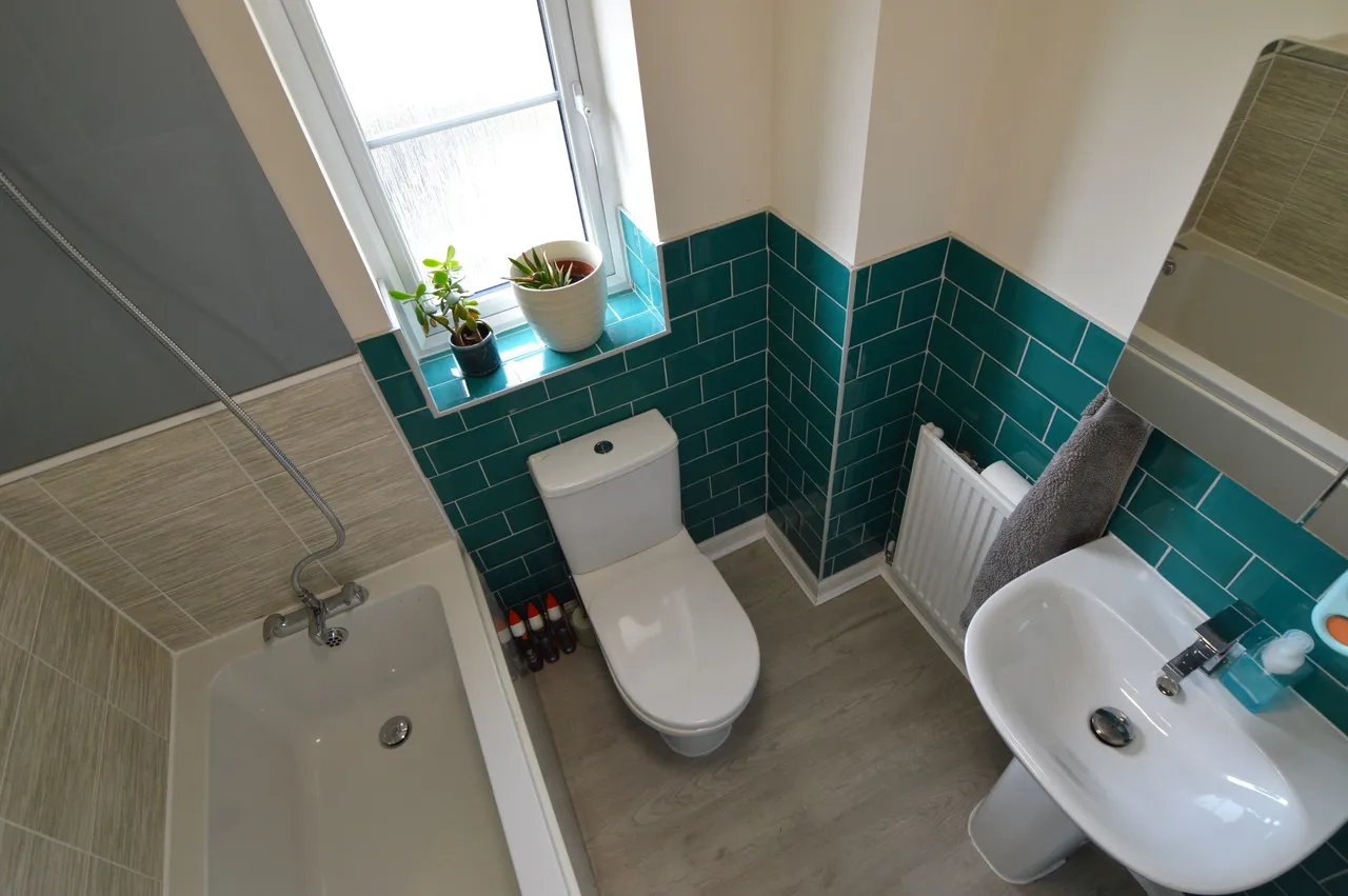 Tawny Grove, Coventry, West Midlands, CV4 8NL, photo 14