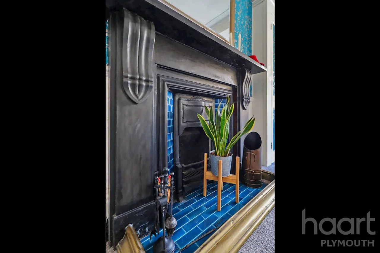 Lipson Road, Plymouth, PL4, photo 10