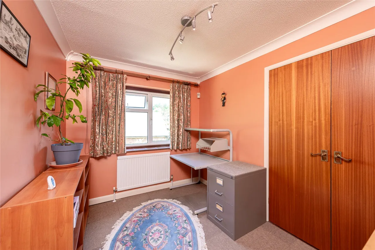 Spindleberry, Ditchfield Common, HP14, photo 12