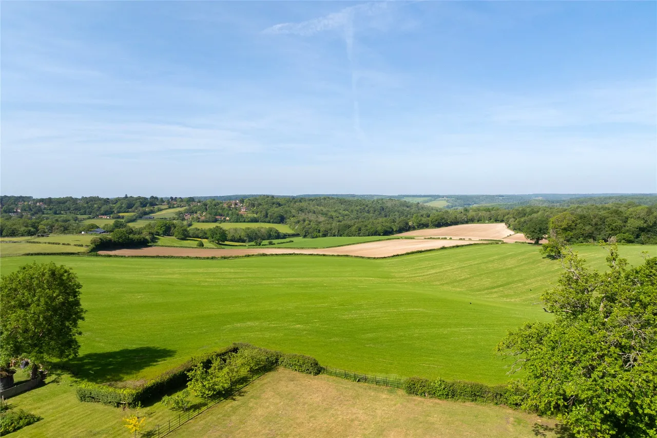 Spindleberry, Ditchfield Common, HP14, photo 5