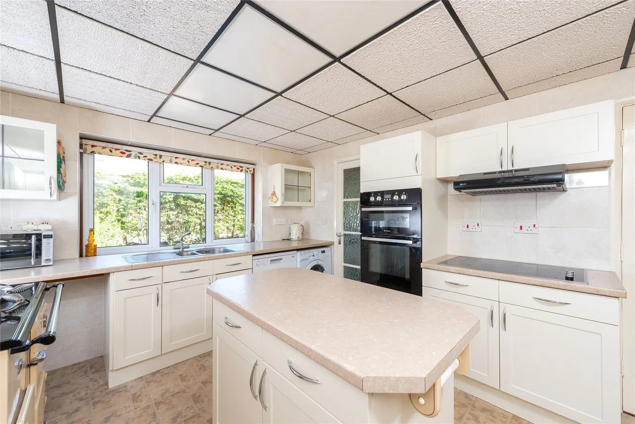 Spindleberry, Ditchfield Common, HP14, photo 7