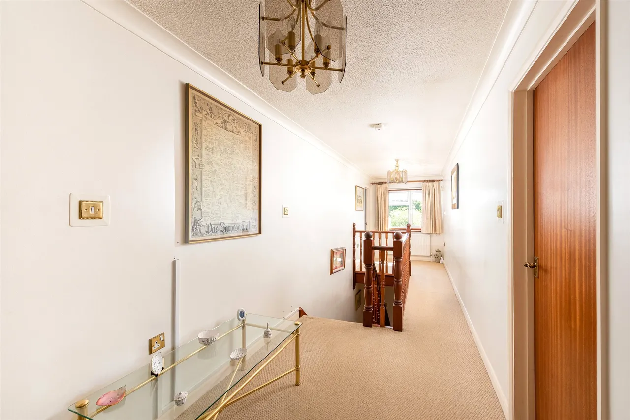 Spindleberry, Ditchfield Common, HP14, photo 9
