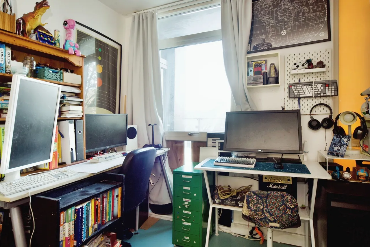 Ward Lane, London, E9, photo 16