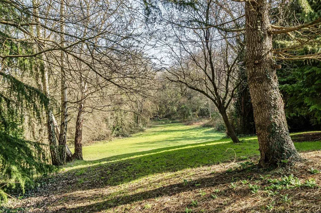 Glen Road, Sarisbury Green, photo 36