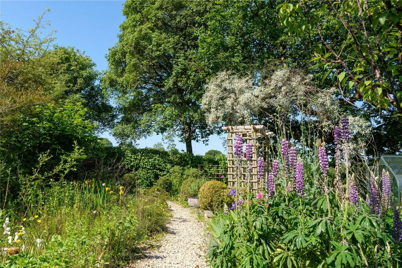 Whitchurch Canonicorum, Bridport, DT6, photo 41
