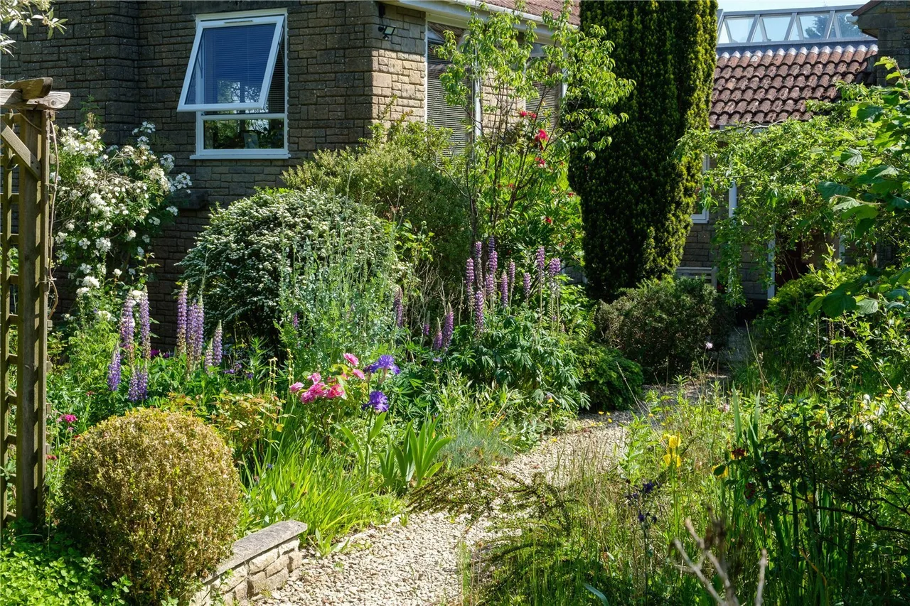 Whitchurch Canonicorum, Bridport, DT6, photo 38
