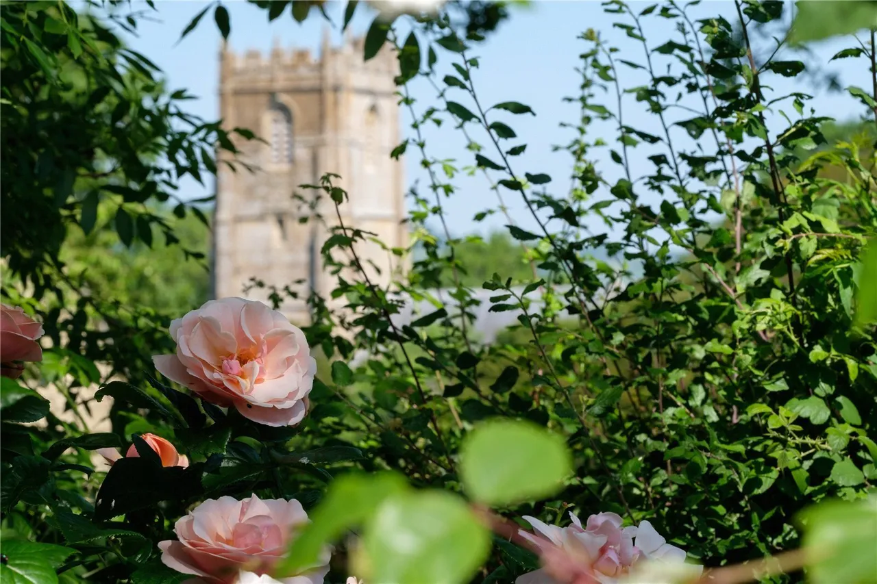 Whitchurch Canonicorum, Bridport, DT6, photo 15