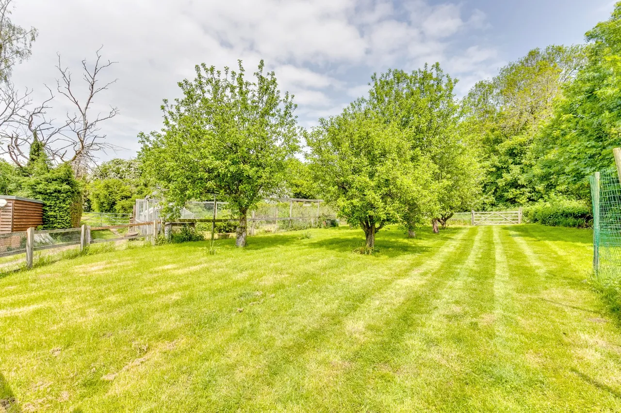 Walkern Road, Watton At Stone, SG14, photo 5
