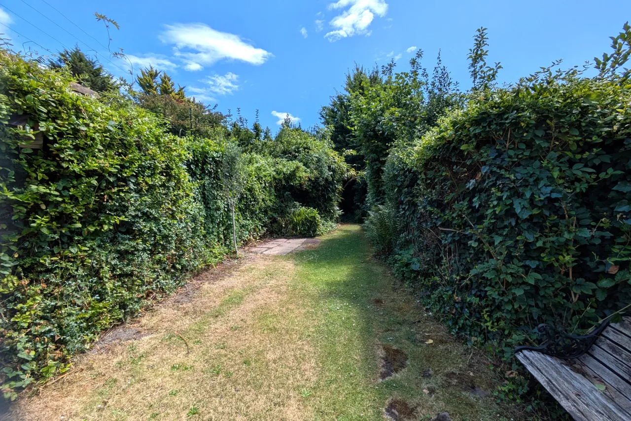 Causeway, Horsham, RH12, photo 8
