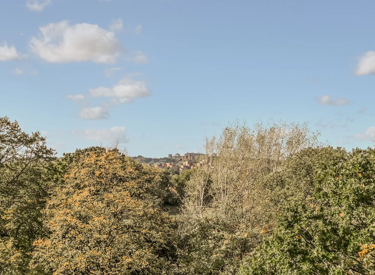 London, N17, photo 18