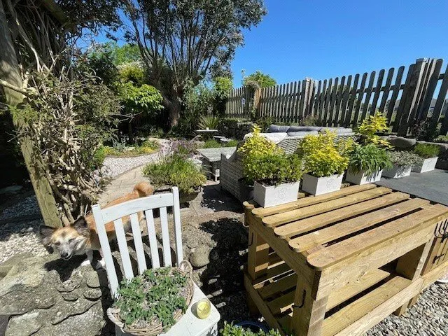 Llangybi, Pwllheli, LL53, photo 26