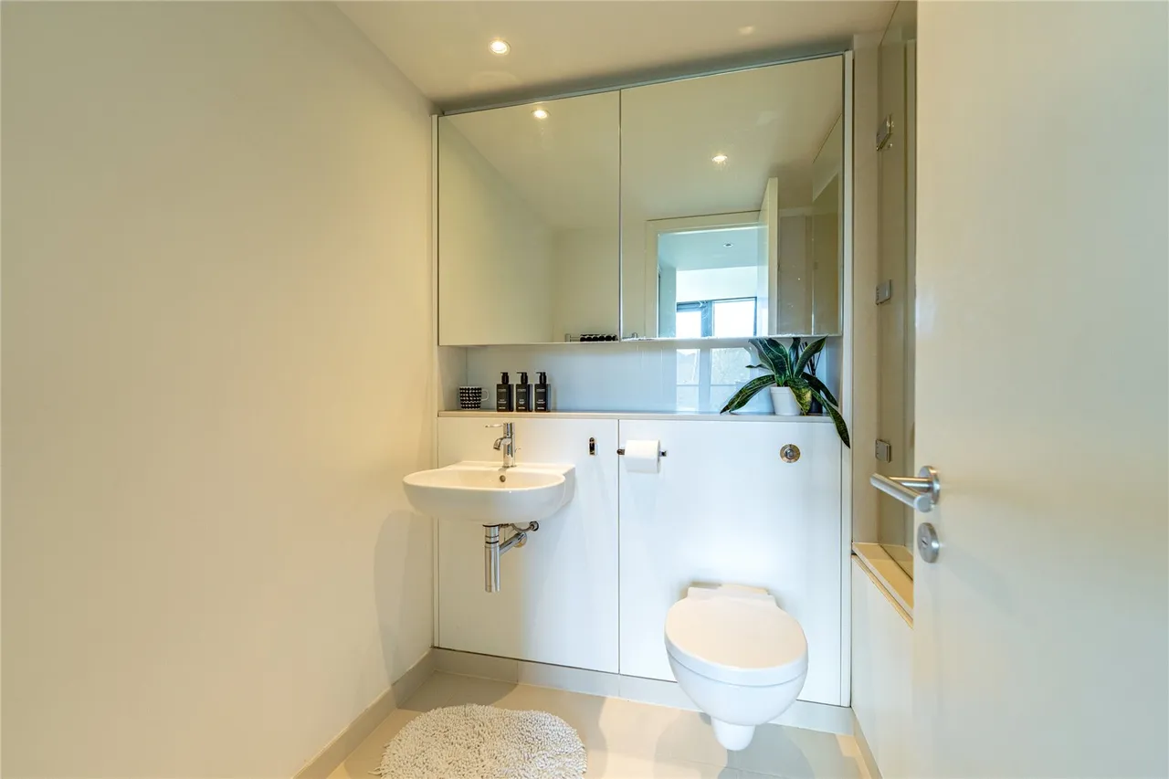 Simpson Loan, Edinburgh, EH3, photo 16