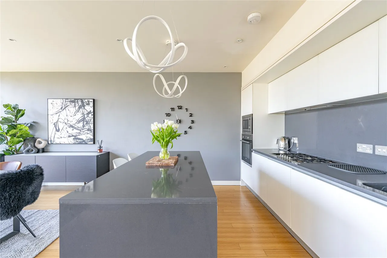 Simpson Loan, Edinburgh, EH3, photo 11