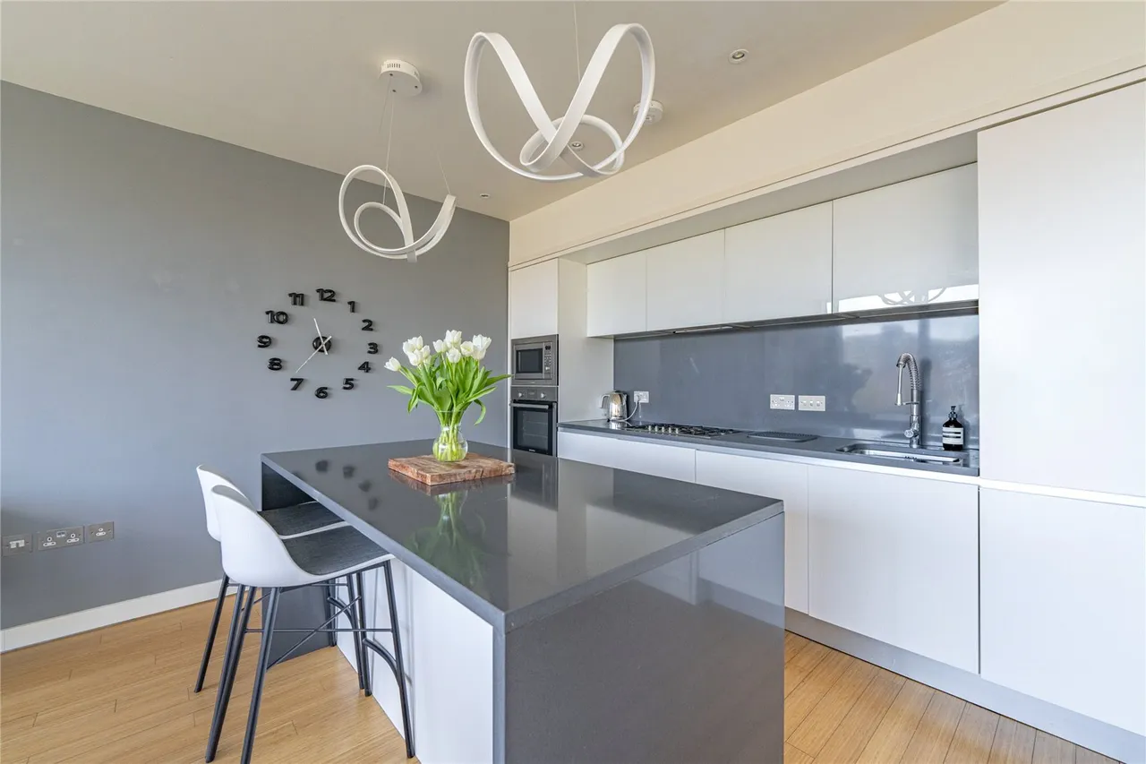 Simpson Loan, Edinburgh, EH3, photo 9