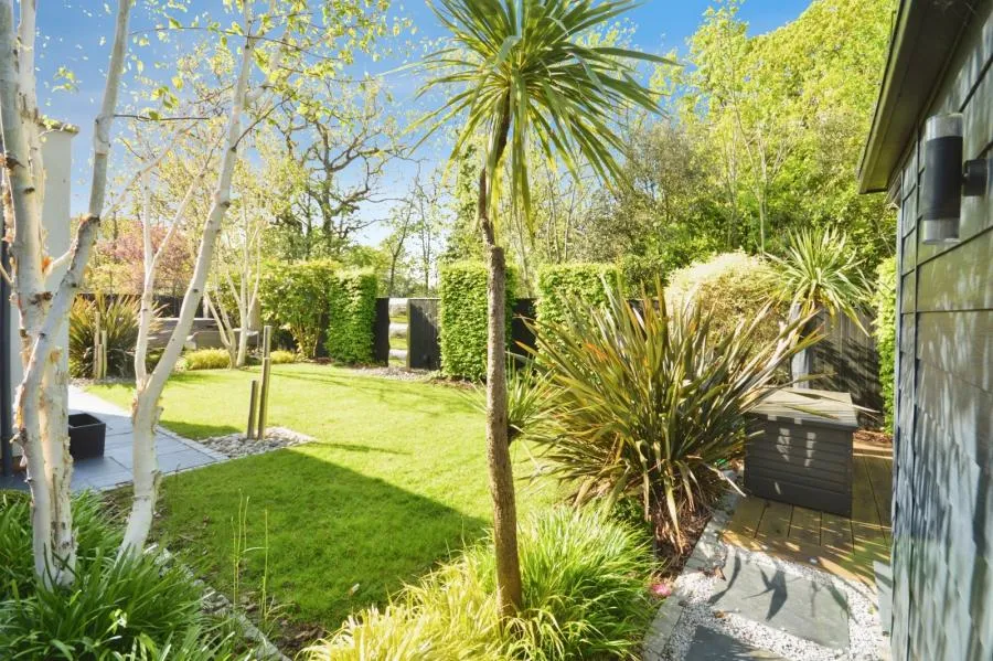 Ty Gwyn Gardens, Penylan, CF23, photo 22